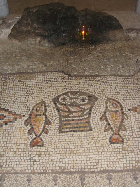 Foto: Ludwig Verst 2009 - Tabgha Foto: Ludwig Verst 2009 - Tabgha